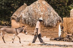 Stage photo au Niombato en petit groupe avec une coach expérimentée dans un Sénégal authentique, en immersion au cœur du Siné Saloum.