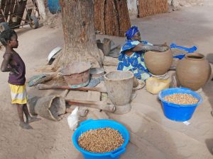 Stage photo au Niombato en petit groupe avec une coach expérimentée dans un Sénégal authentique, en immersion au cœur du Siné Saloum.