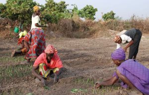 Stage photo au Niombato en petit groupe avec une coach expérimentée dans un Sénégal authentique, en immersion au cœur du Siné Saloum.