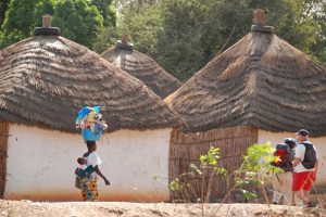 Stage photo au Niombato en petit groupe avec une coach expérimentée dans un Sénégal authentique, en immersion au cœur du Siné Saloum.