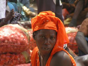 Tourisme responsable et solidaire dans le Siné Saloum au campement du Niombato au Sénégal, un séjour découverte entre mer et brousse.