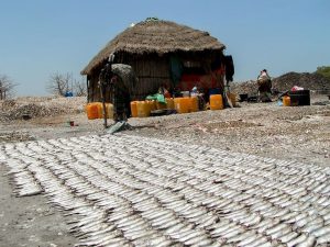 Tourisme responsable et solidaire : une maison d'hôte dans le Siné Saloum au campement du Niombato au Sénégal : un séjour découverte entre mer et brousse.