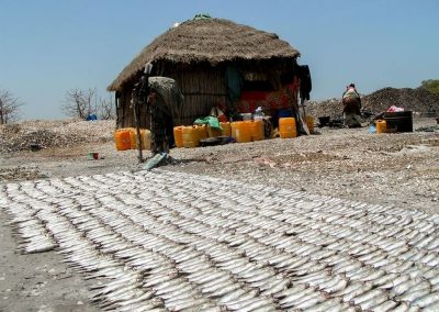 Tourisme responsable et solidaire : une maison d'hôte dans le Siné Saloum au campement du Niombato au Sénégal : un séjour découverte entre mer et brousse.