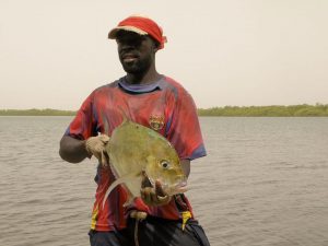 Tourisme responsable et solidaire : une maison d'hôte dans le Siné Saloum au campement du Niombato au Sénégal : un séjour découverte entre mer et brousse.