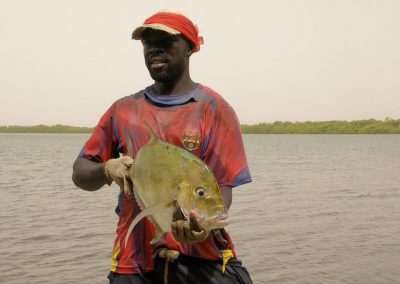Tourisme responsable et solidaire : une maison d'hôte dans le Siné Saloum au campement du Niombato au Sénégal : un séjour découverte entre mer et brousse.
