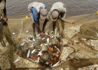 Tourisme responsable et solidaire : une maison d'hôte dans le Siné Saloum au campement du Niombato au Sénégal : un séjour découverte entre mer et brousse.