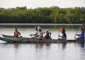 Stage photo au Niombato en petit groupe avec une coach expérimentée dans un Sénégal authentique, en immersion au cœur du Siné Saloum.