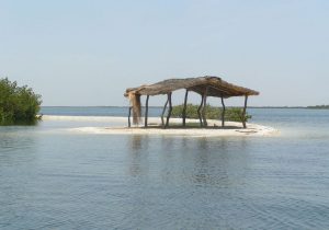Tourisme responsable et solidaire dans le Siné Saloum au campement du Niombato au Sénégal, un séjour découverte entre mer et brousse.