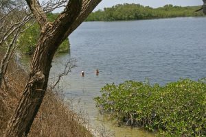 Tourisme responsable et solidaire dans le Siné Saloum au campement du Niombato au Sénégal, un séjourdécouverte entre mer et brousse.