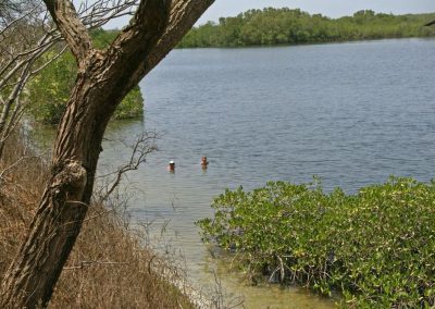 Tourisme responsable et solidaire dans le Siné Saloum au campement du Niombato au Sénégal, un séjourdécouverte entre mer et brousse.