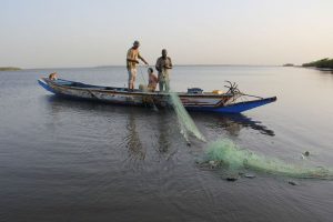 Stage photo au Niombato en petit groupe avec une coach expérimentée dans un Sénégal authentique, en immersion au cœur du Siné Saloum.