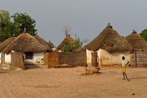 Tourisme responsable et solidaire dans le Siné Saloum au campement du Niombato au Sénégal, un séjour découverte entre mer et brousse.