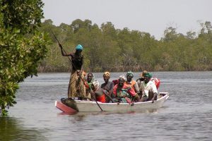 Tourisme responsable et solidaire : une maison d'hôte dans le Siné Saloum au campement du Niombato au Sénégal : un séjour découverte entre mer et brousse.
