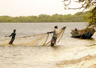 Tourisme responsable et solidaire : une maison d'hôte dans le Siné Saloum au campement du Niombato au Sénégal : un séjour découverte entre mer et brousse.