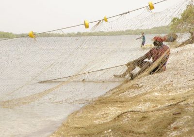Tourisme responsable et solidaire dans le Delta du Siné Saloum au campement du Niombato au Sénégal, un séjour découverte entre mer et brousse.