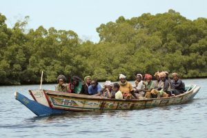 Tourisme responsable et solidaire dans le Delta du Siné Saloum au campement du Niombato au Sénégal, un séjour découverte entre mer et brousse.