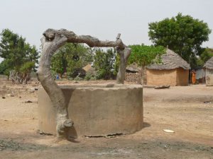Stage photo au Niombato en petit groupe avec une coach expérimentée dans un Sénégal authentique, en immersion au cœur du Siné Saloum.