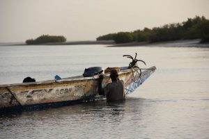 Stage photo au Niombato en petit groupe avec une coach expérimentée dans un Sénégal authentique, en immersion au cœur du Siné Saloum.
