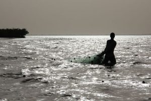 Stage photo au Niombato en petit groupe avec une coach expérimentée dans un Sénégal authentique, en immersion au cœur du Siné Saloum.