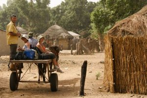 Tourisme responsable et solidaire dans le Siné Saloum au campement du Niombato au Sénégal, un séjour découverte entre mer et brousse.