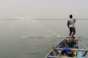 Tourisme responsable et solidaire dans le Delta du Siné Saloum au campement du Niombato au Sénégal, un séjour découverte entre mer et brousse.